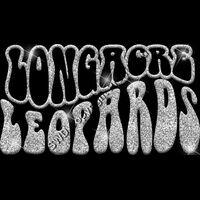 GLT98 SILVER GLITTER Thumbnail